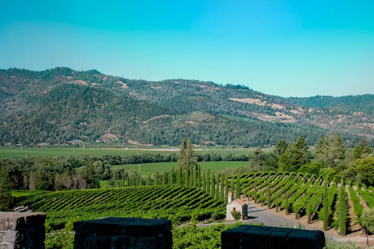 Napa